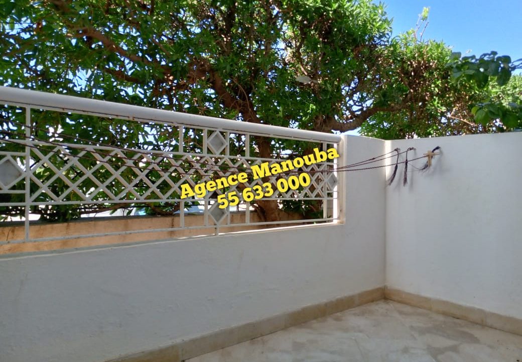 WhatsApp Image 2023-03-28 at 11.21.54 (1)